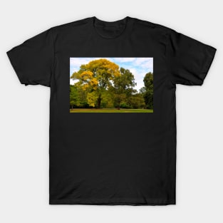 Nouvelle Zélande - Christchurch T-Shirt